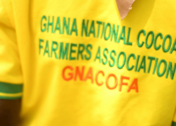 Farmers to demonstrate against implementation of cocoa farmers pension scheme