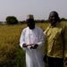 Meet the Ghanaian policy advisor behind Nigeria’s rice production boom